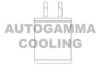 AUTOGAMMA 105275 Heat Exchanger, interior heating